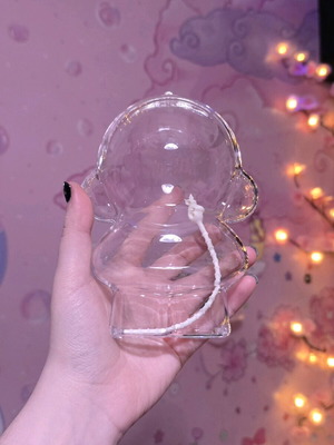 Skullpanda protective case like new