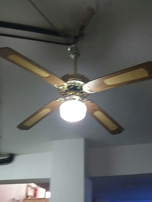 Ceiling fan used with light fixture