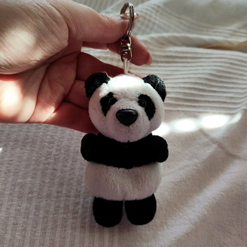 Keychain panta used, black and white
