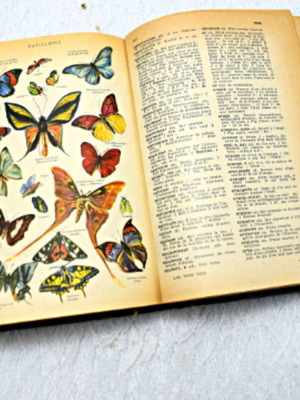 Small Larousse French Dictionary used, 1957 edition with hardcover