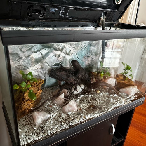 Fish Aquarium 100 liters used with cabinet and full equipment