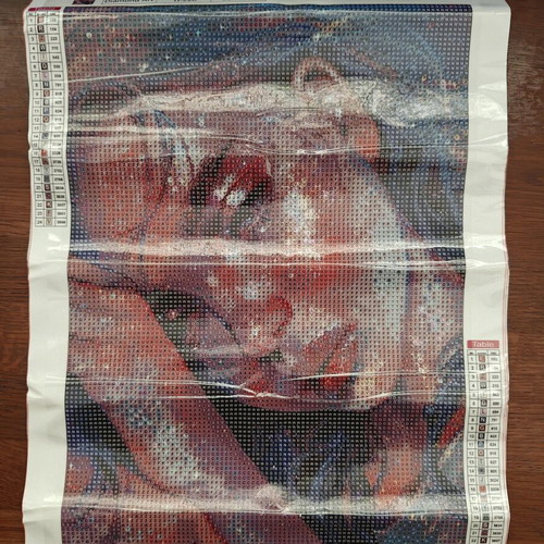 Diamond Painting Kit 30x40 Girl new