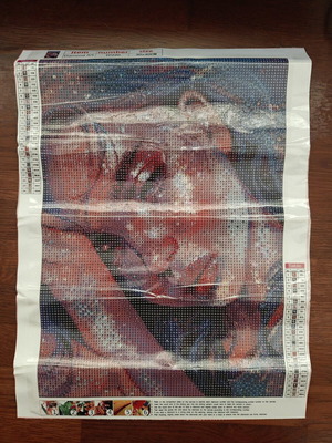 Diamond Painting Kit 30x40 Girl new