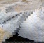  2,70 επί 1,84. ΡΙΧΤΆΡΙ ΜΕΓΆΛΟ, ΥΦΑΝΤΌ ΠΑΡΑΔΟΣΙΑΚΟΥ ΑΡΓΑΛΕΙΌΥ!!!