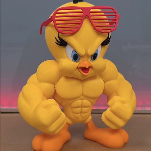 Tweety The Gym Bird figure 22cm height new