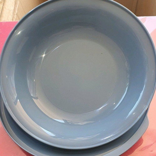 Aloha Tupperware Bowls Set of 2, 700ml and 360ml, New