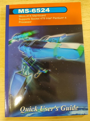 Manual Quick User's Guide MS-6524 Mainboard like new