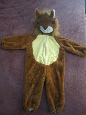 Lion Costume like new for one-year-old baby