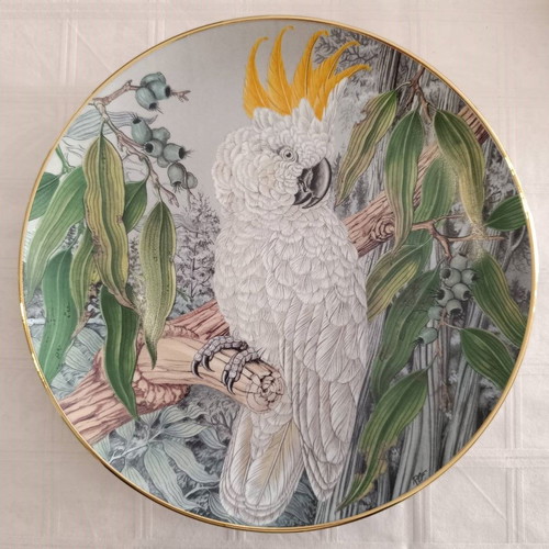 Collectible plates used, set of 5, tropical parrots, Kaiser W. Germany