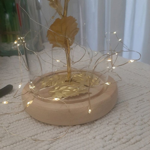 Decorative golden rose with vase and light, like new