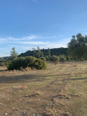 Οικόπεδο στη Νότια Ρόδο, Κιοτάρι, 56.000 τ.μ.