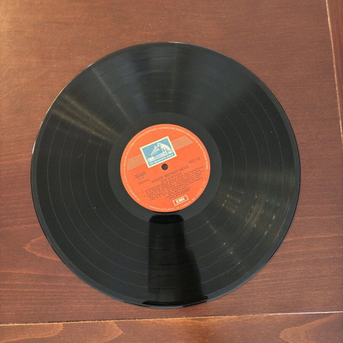 Mauthausen LP Mikis Theodorakis like new, entechno