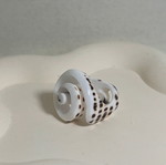 Shell ring like new, summer design
