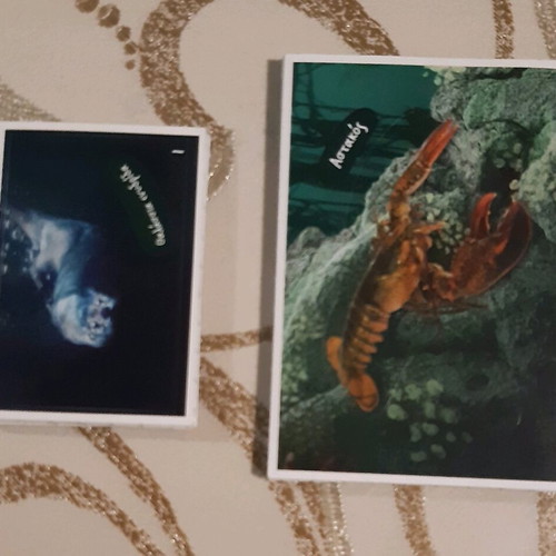 AB Vasilopoulos Exploring the Ocean album used with 49 stickers