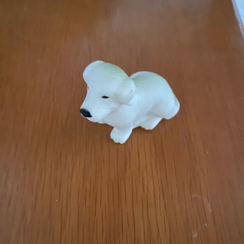 Plastic dog toy