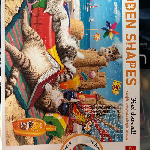 Puzzle used