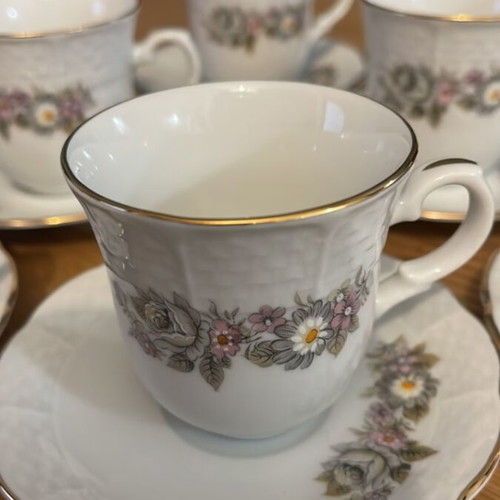 Bohemian porcelain tea set new with gold trim