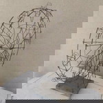  Μεγάλο καρουζέλ Έργο τέχνης Wire art