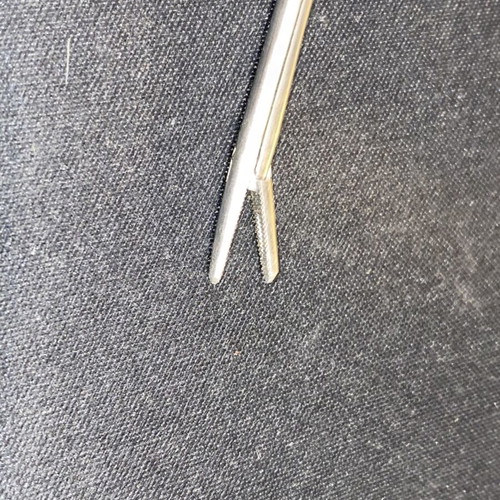 Home Veterinary Surgical Forceps stainless steel like new