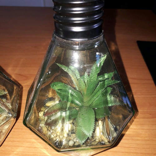 Decorative lighting like new with glass, pebbles and artificial plant