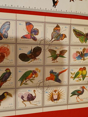 Sheet of 20 exotic bird and butterfly stamps new, FUJEIRA 1972