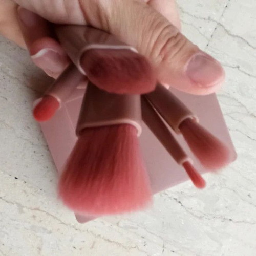 Makeup brush set of 5 in plastic case with mirror
