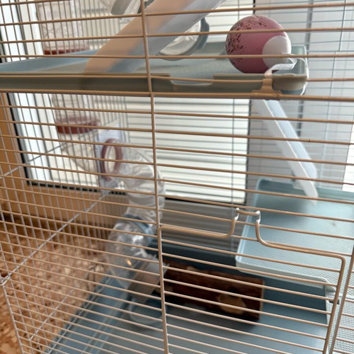 Large rodent cage like new