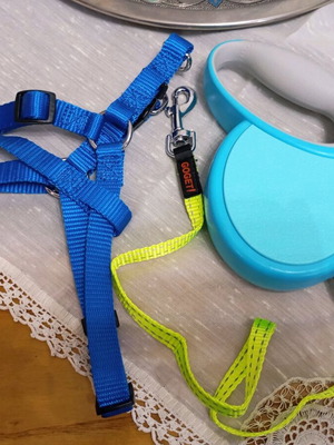 Goget 4m Retractable Leash and Medium Harness for Pet New