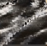  Αφορετη γούνα medium