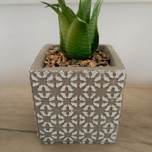 Decorative plant new