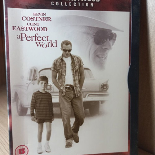 The Perfect World DVD with English subtitles