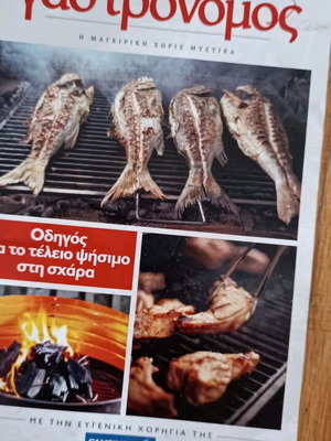 Gastronomos small extra issue used for perfect grilling guide