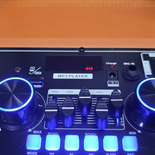 ANDOWL12MAX wireless karaoke speaker with 2 microphones