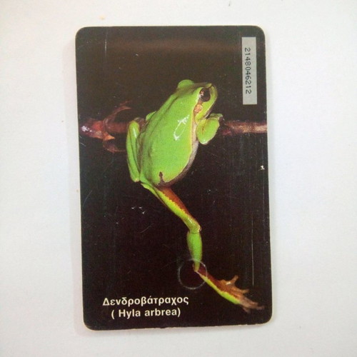 Phone card Museum of Natural History Crete 1999
