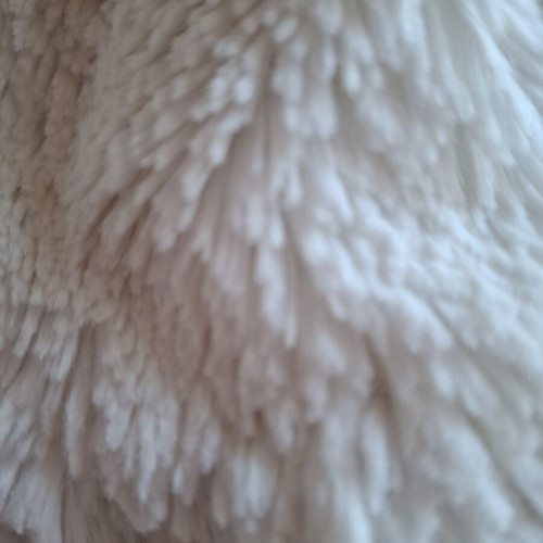 White fluffy coat with 3/4 sleeve, used, size L