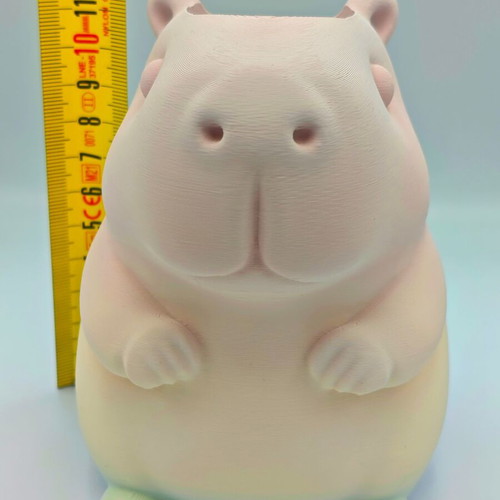 Capybara Pencil Holder new, 3D printed with Rainbow Matte finish