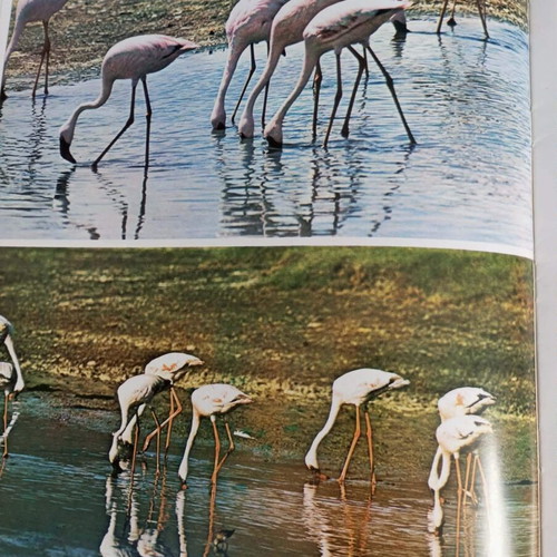 Safari in Africa encyclopedia set like new, 6 volumes