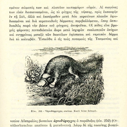 Stoicheia Zoologias academic books used, Greek language, volumes A+B