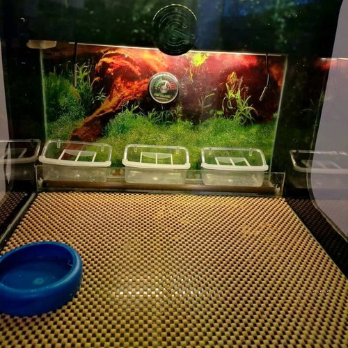 Brooder bird incubator like new with digital thermostat and LED lighting