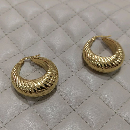 Earrings new, never worn