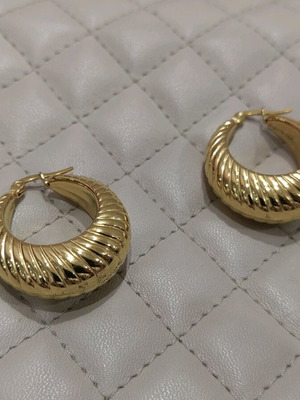 Earrings new, never worn