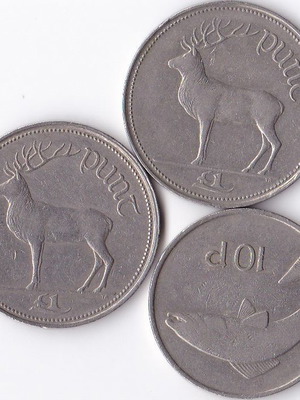 Irish pounds coins used