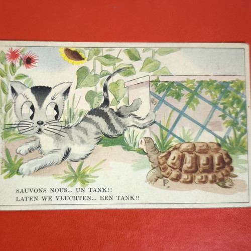 Belgium vintage collectible postcard 1951 with cat and turtle
