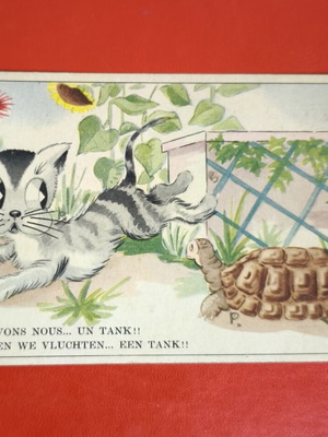 Belgium vintage collectible postcard 1951 with cat and turtle