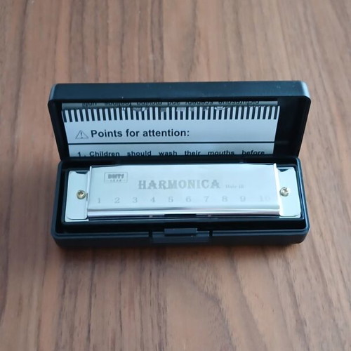 Diatonic Harmonica 10 Holes New with Case