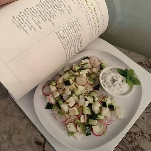 Salates cookbook by Myrsini Lambraki like new, Gastronomos