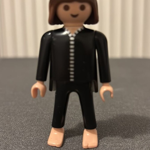 Playmobil used