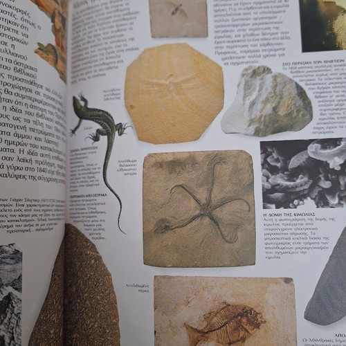 Researchers and Eyewitness book set like new