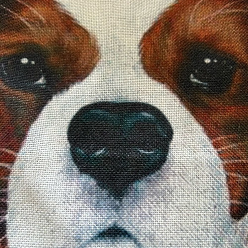 Pillow cover used 45x45 with Cavalier King Charles dog print