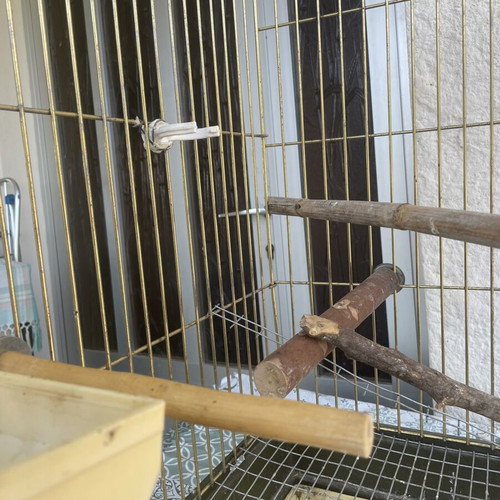 Cockatiel birdcage used, medium size